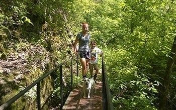 hit-the-trails-dog hit-the-trails-dog