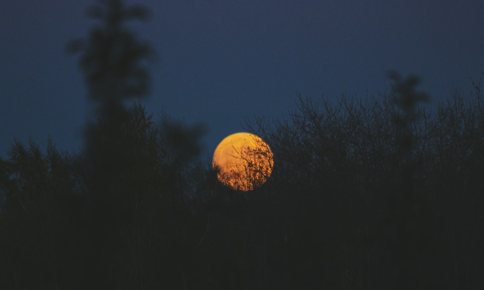 Moon, night sky, harvest moon, full moon