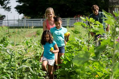 Homeschool, garden, vegetable garden