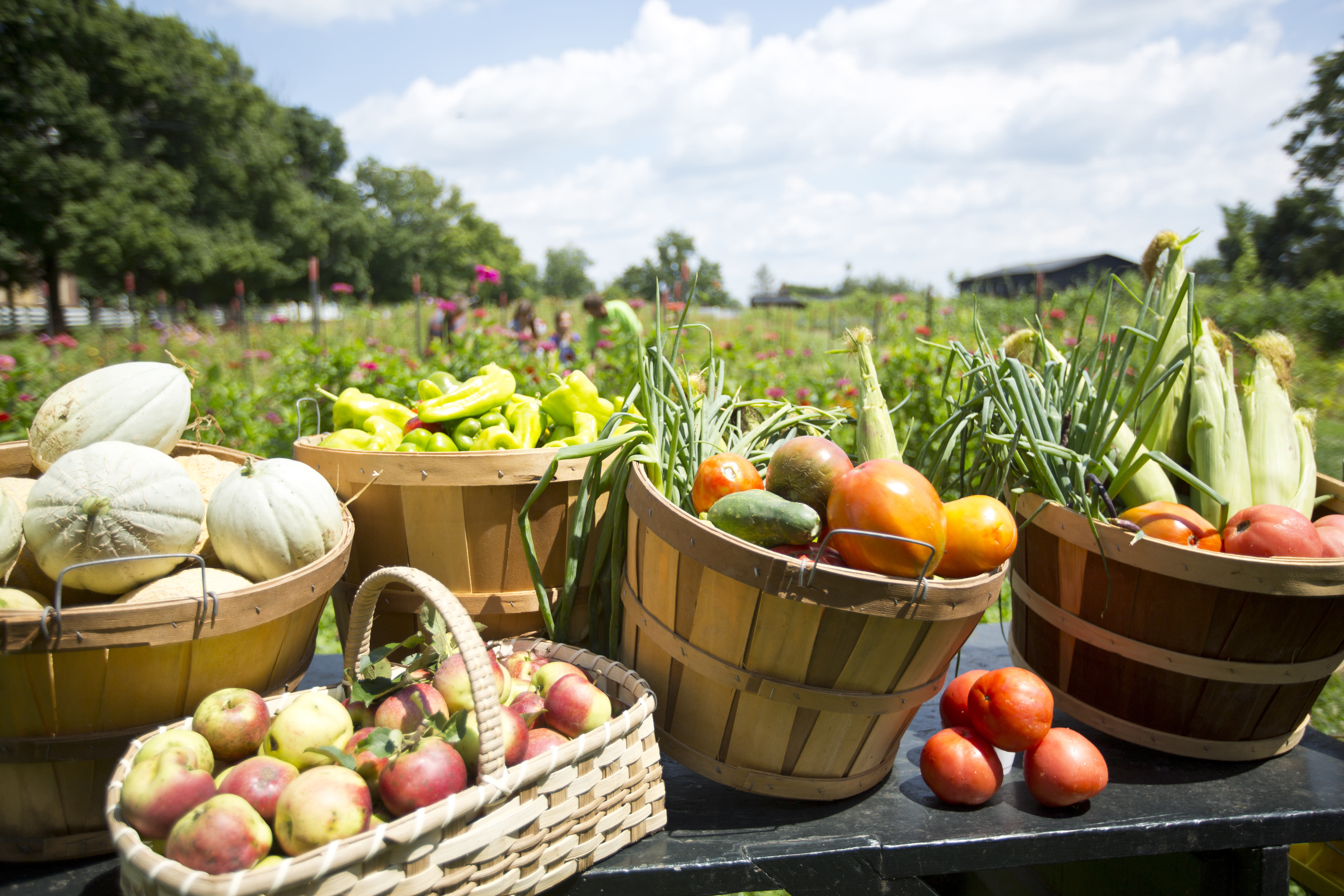 Agriculture, Dining, Culinary