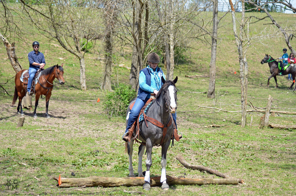 Equine Trail Course, Obstacles, Equine Event, Horses