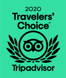 TC_2020_L_GREEN_BG_RGB Trip Advisor Travelers' Choice Award