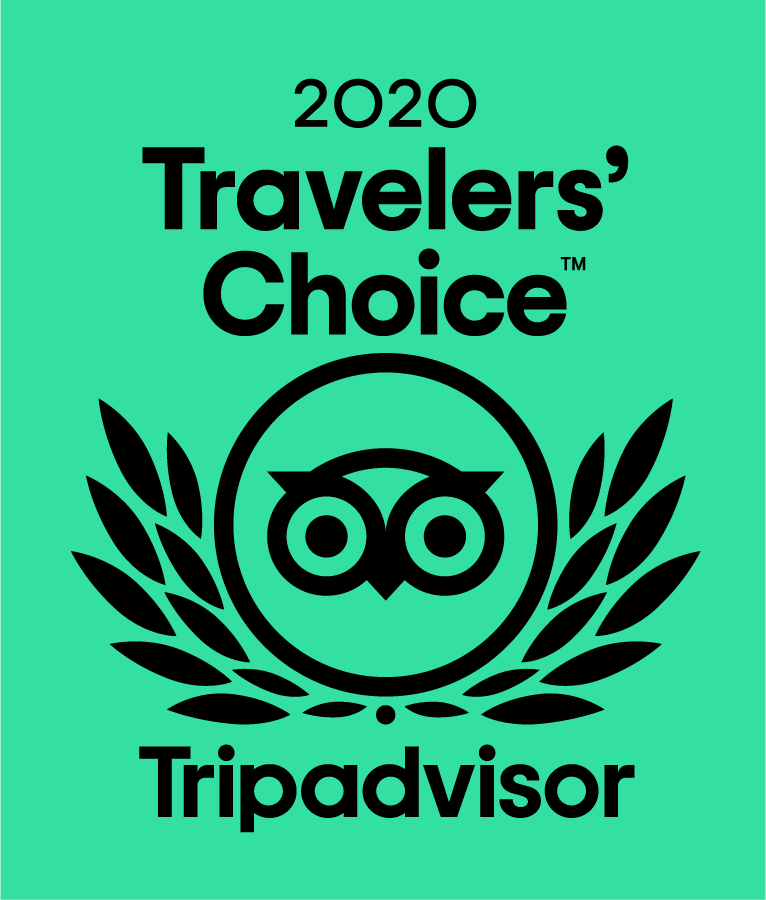 TC_2020_L_GREEN_BG_RGB Trip Advisor Travelers' Choice Award