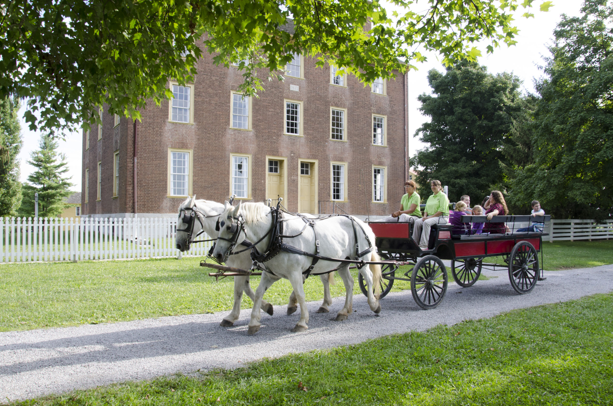 Goat Yoga - Sold Out - Shaker Village of Pleasant Hill