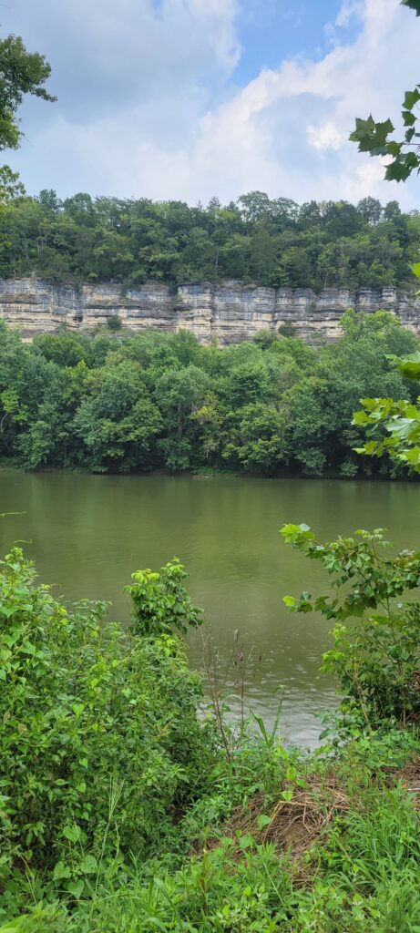 Palisades Palisades