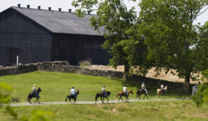 BoshierPhotography0897