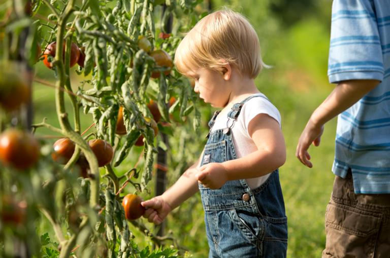 2026_Resize_768x509_AR013