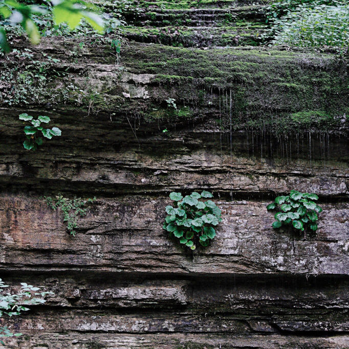 3 March 23 - Geologic Walk Through Time