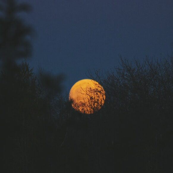 Moon, night sky, harvest moon, full moon