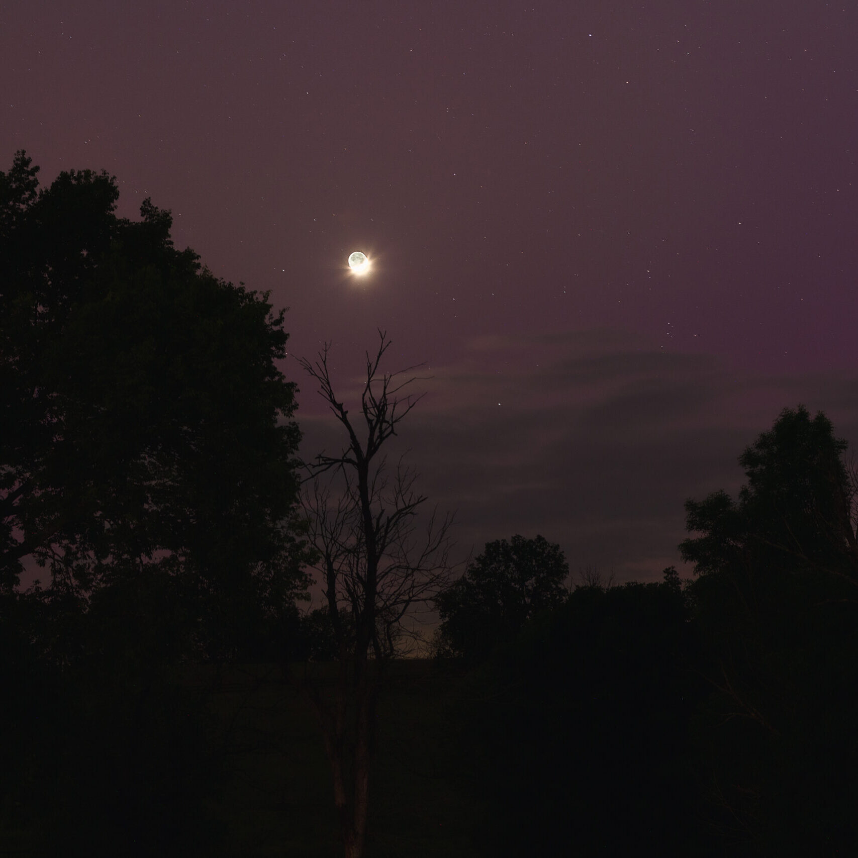 Astonomy in the Field 7