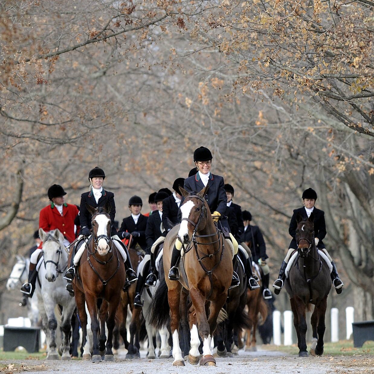 Blessing of the Hounds