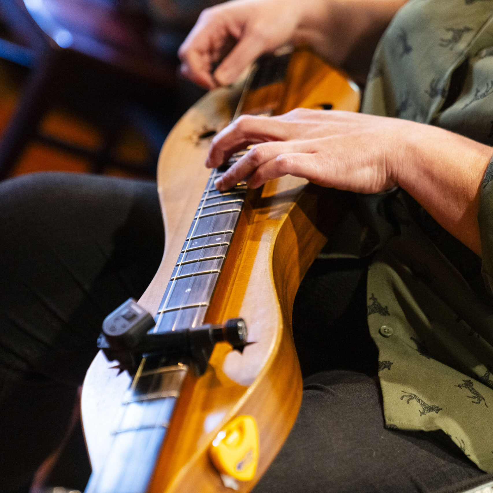 Bucolics dulcimer closeup