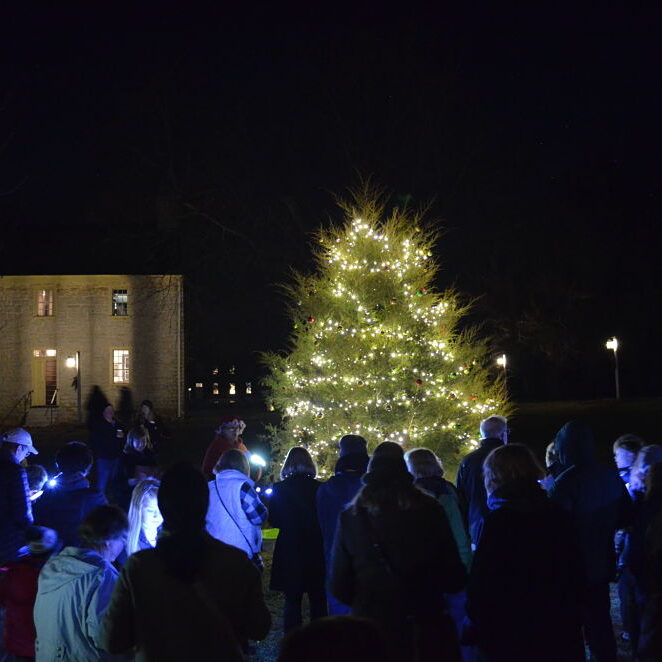 Illuminated Evenings