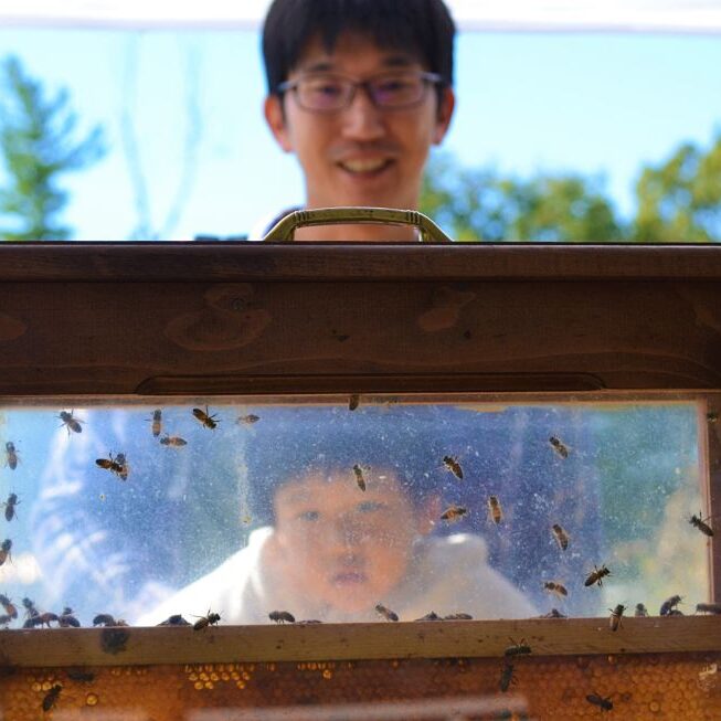 Bees at Harvest Fest