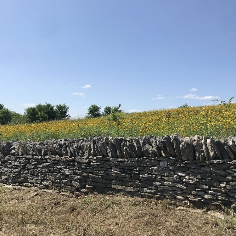 Stone Fence Repaired