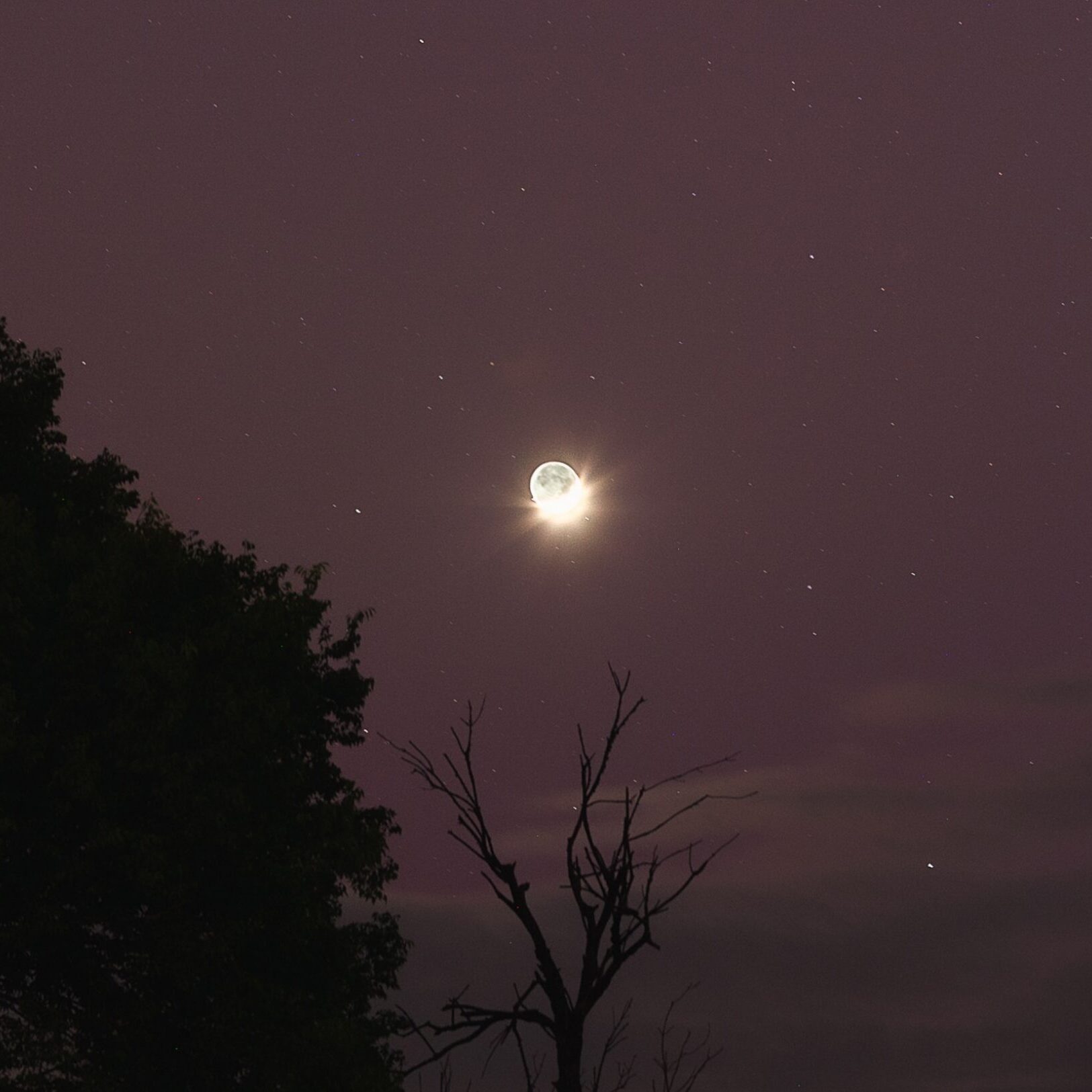 Moon