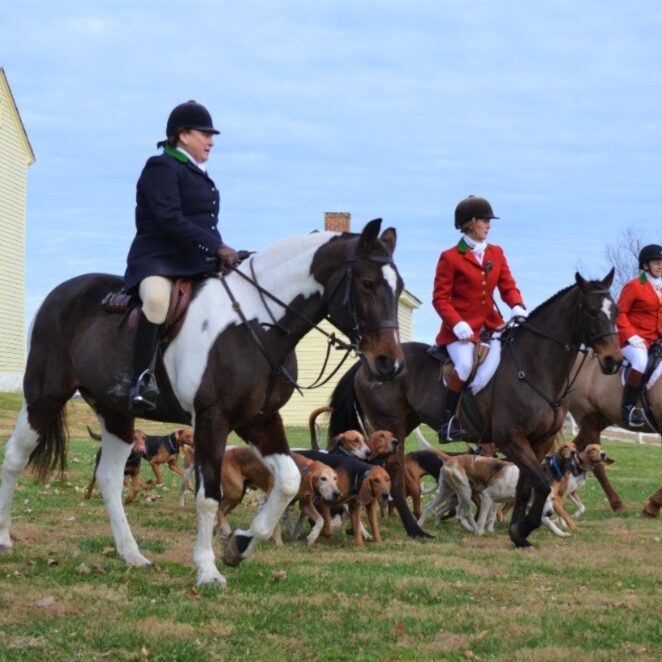 Blessing of the Hounds