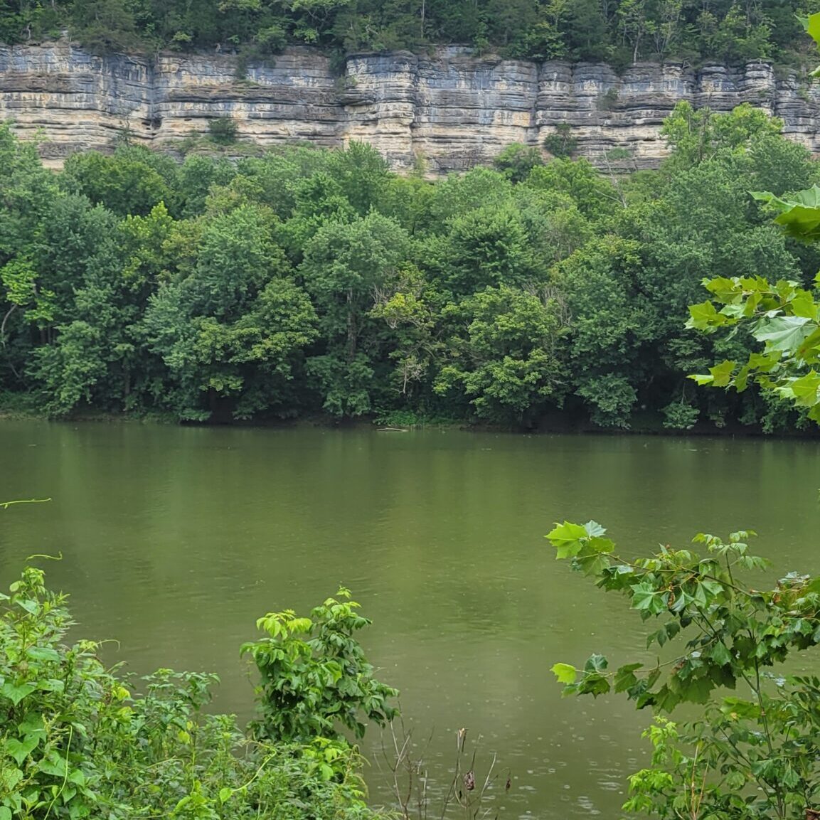 Palisades