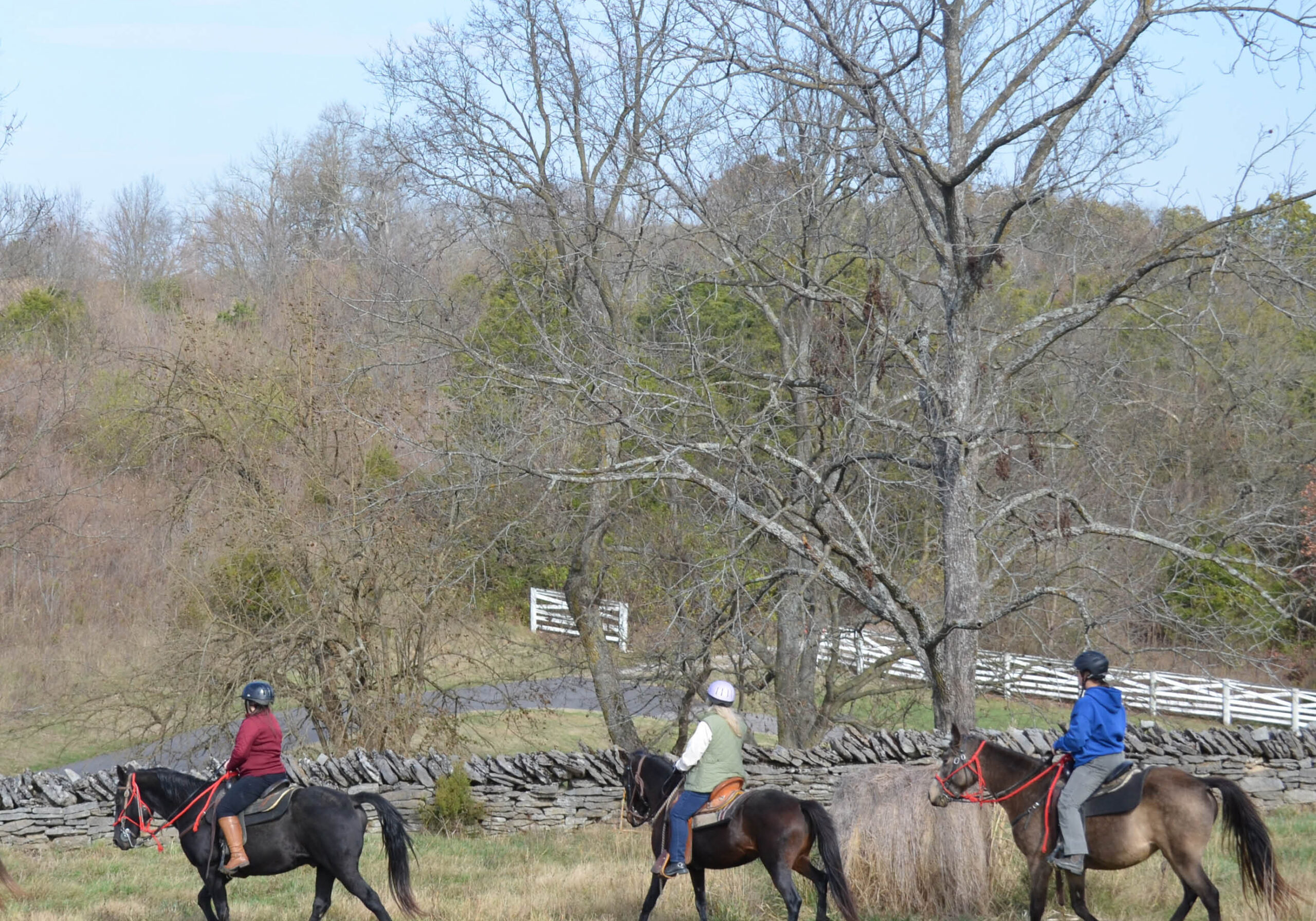 Trail Riders