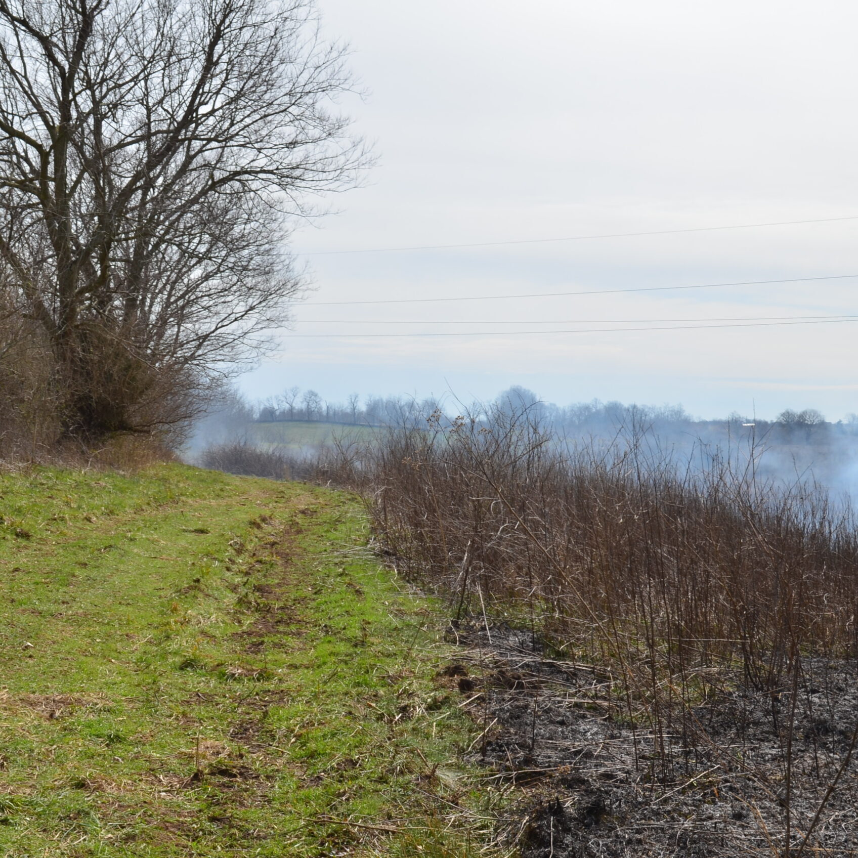 controlled burn divide