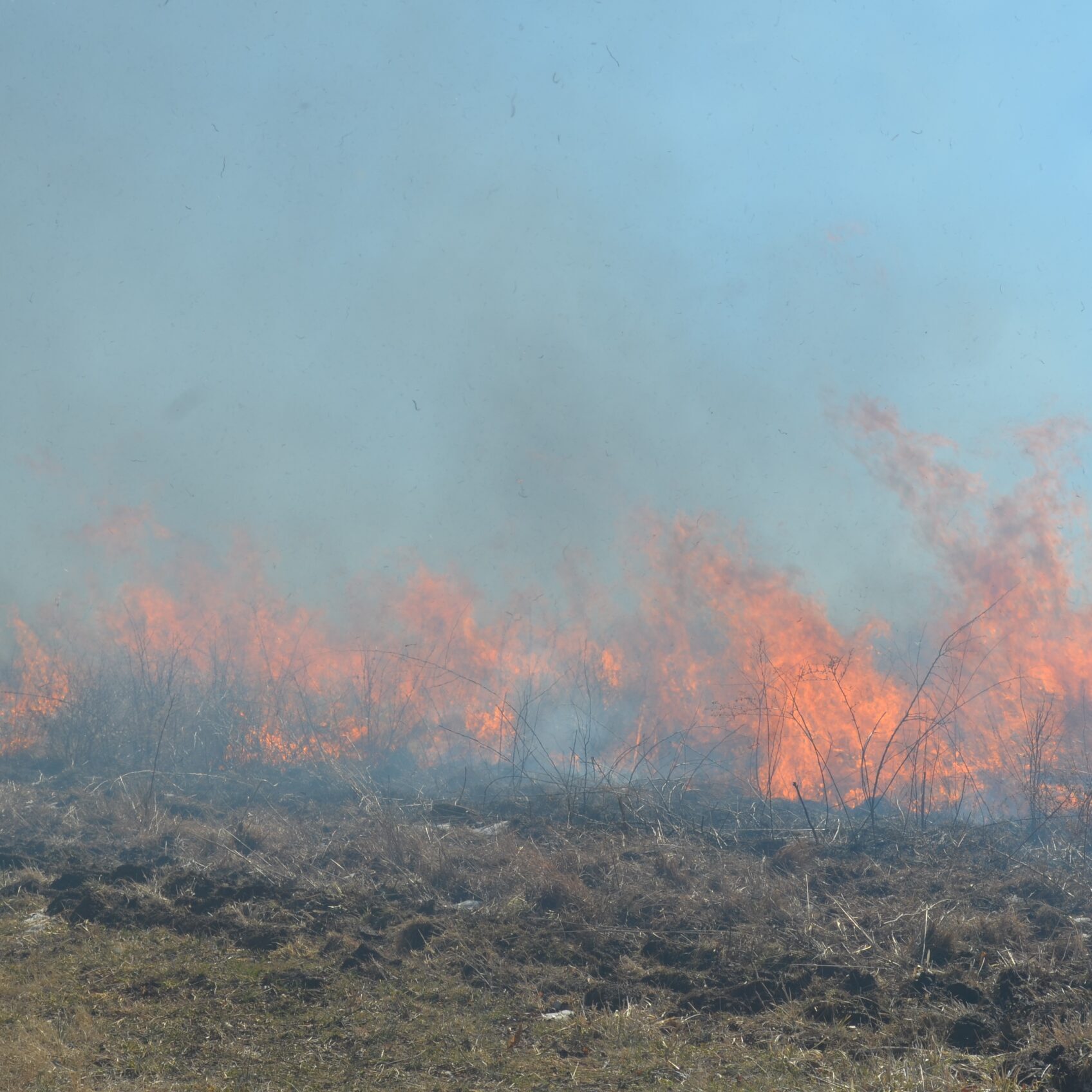 ????????????????????????????????????