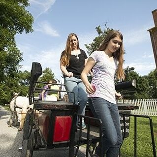 horses, wagon rides, tours